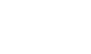 PLM